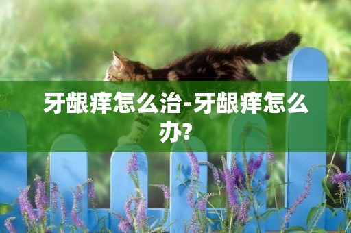 牙齦癢怎么治-牙齦癢怎么辦?