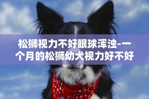 松獅視力不好眼球渾濁-一個月的松獅幼犬視力好不好??