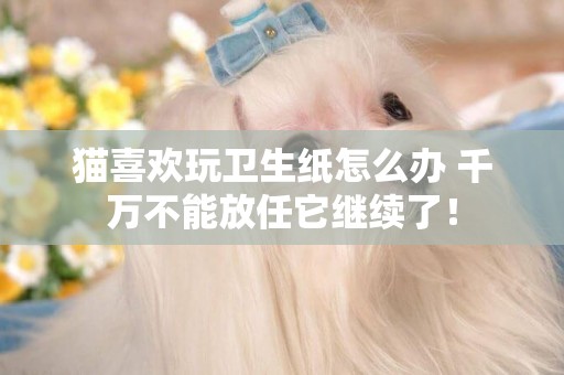 貓喜歡玩衛生紙怎么辦 千萬不能放任它繼續了！