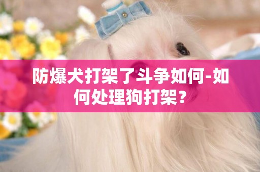 防爆犬打架了斗爭如何-如何處理狗打架？