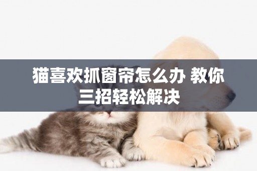 貓喜歡抓窗簾怎么辦 教你三招輕松解決