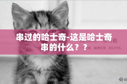 串過的哈士奇-這是哈士奇串的什么？？