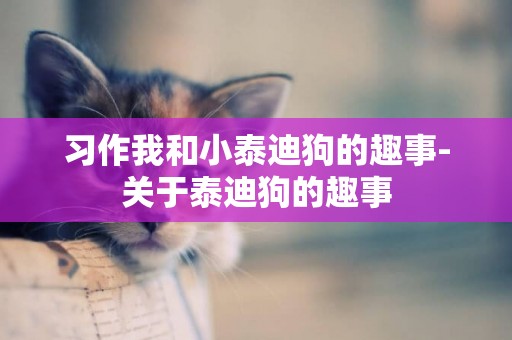 習作我和小泰迪狗的趣事-關于泰迪狗的趣事