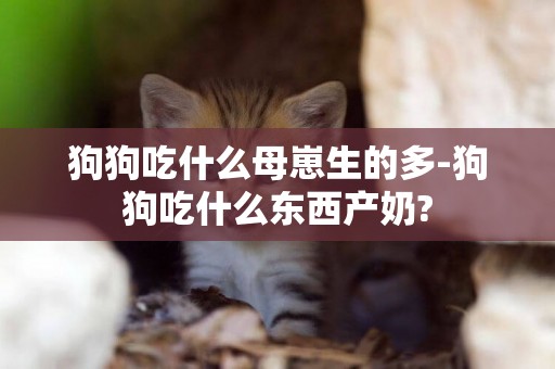 狗狗吃什么母崽生的多-狗狗吃什么東西產奶?