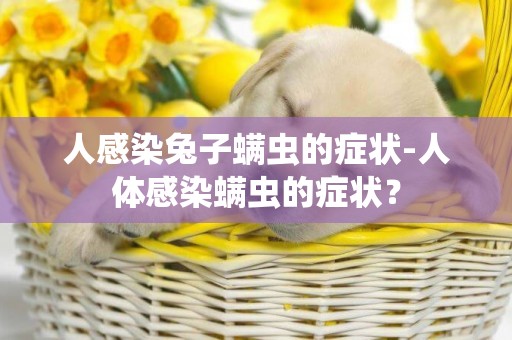 人感染兔子螨蟲的癥狀-人體感染螨蟲的癥狀？