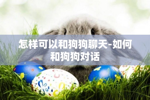 怎樣可以和狗狗聊天-如何和狗狗對話