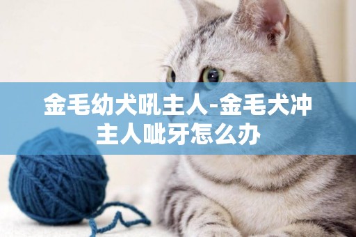 金毛幼犬吼主人-金毛犬沖主人呲牙怎么辦
