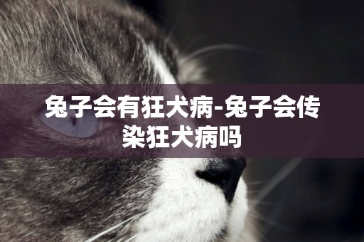 兔子會有狂犬病-兔子會傳染狂犬病嗎