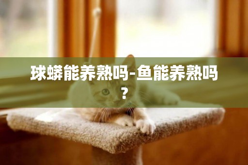 球蟒能養熟嗎-魚能養熟嗎?