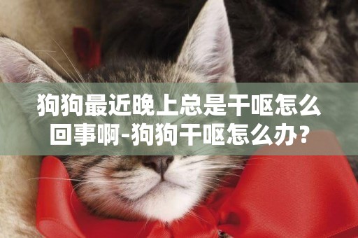 狗狗最近晚上總是干嘔怎么回事啊-狗狗干嘔怎么辦？
