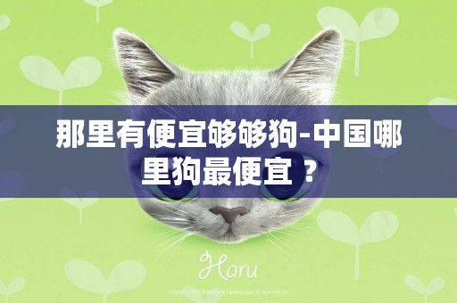 那里有便宜夠夠狗-中國哪里狗最便宜 ？
