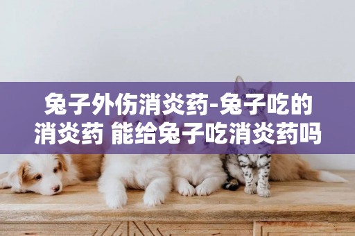 兔子外傷消炎藥-兔子吃的消炎藥 能給兔子吃消炎藥嗎