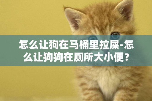 怎么讓狗在馬桶里拉屎-怎么讓狗狗在廁所大小便？