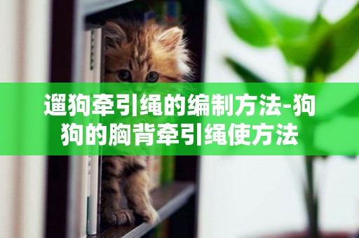 遛狗牽引繩的編制方法-狗狗的胸背牽引繩使方法