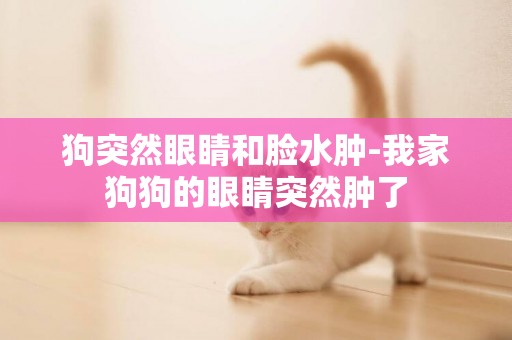 狗突然眼睛和臉水腫-我家狗狗的眼睛突然腫了
