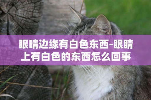 眼晴邊緣有白色東西-眼睛上有白色的東西怎么回事