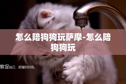 怎么陪狗狗玩薩摩-怎么陪狗狗玩
