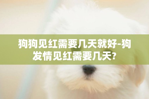 狗狗見紅需要幾天就好-狗發情見紅需要幾天?