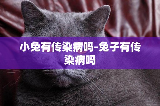 小兔有傳染病嗎-兔子有傳染病嗎