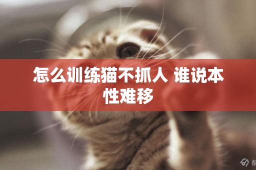 怎么訓練貓不抓人 誰說本性難移