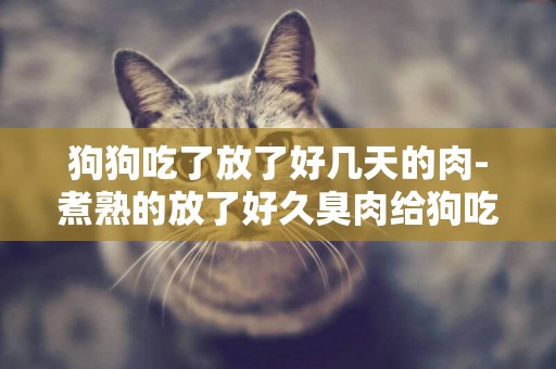 狗狗吃了放了好幾天的肉-煮熟的放了好久臭肉給狗吃行嗎