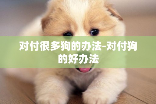 對付很多狗的辦法-對付狗的好辦法