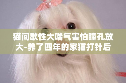 貓間歇性大喘氣害怕瞳孔放大-養了四年的家貓打針后出現四肢僵硬,瞳孔放大,呼吸急促,但是一直還活著,接