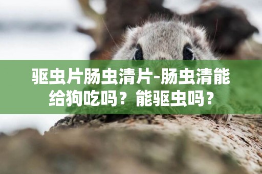 驅蟲片腸蟲清片-腸蟲清能給狗吃嗎？能驅蟲嗎？