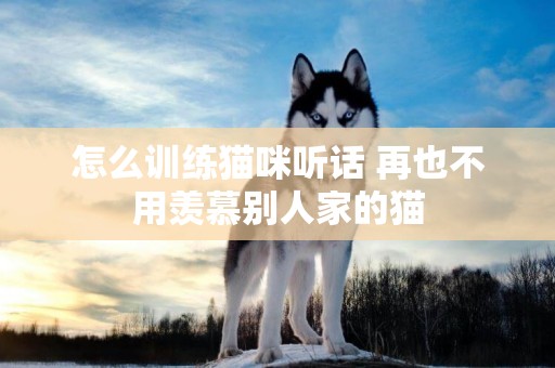 怎么訓練貓咪聽話 再也不用羨慕別人家的貓