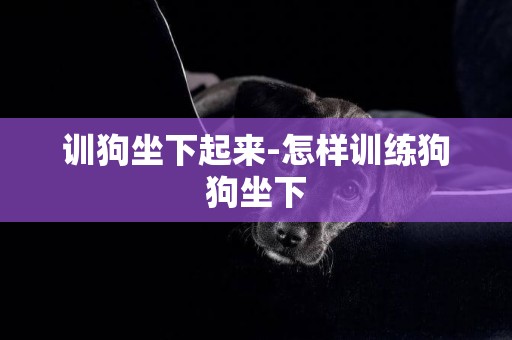 訓狗坐下起來-怎樣訓練狗狗坐下