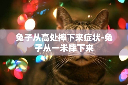 兔子從高處摔下來癥狀-兔子從一米摔下來