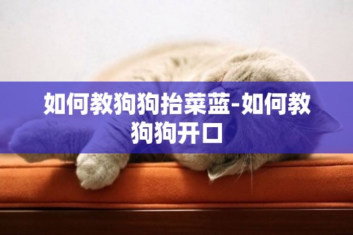 如何教狗狗抬菜藍-如何教狗狗開口