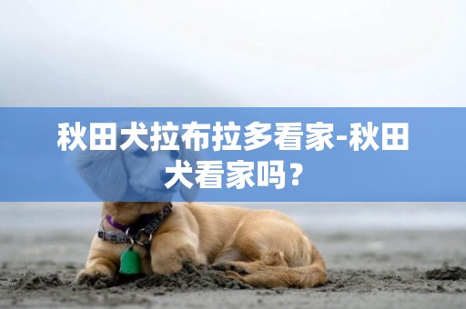 秋田犬拉布拉多看家-秋田犬看家嗎？