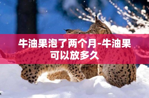 牛油果泡了兩個月-牛油果可以放多久