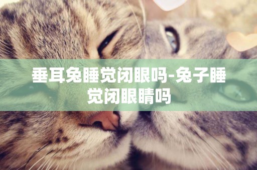 垂耳兔睡覺閉眼嗎-兔子睡覺閉眼睛嗎