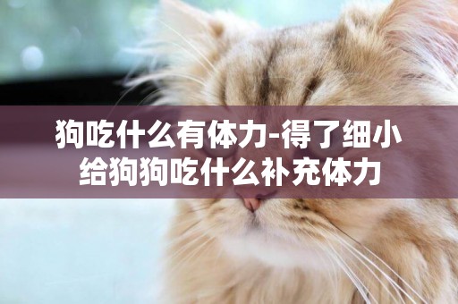 狗吃什么有體力-得了細小給狗狗吃什么補充體力