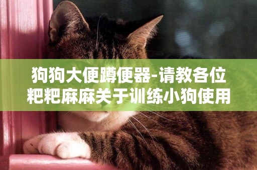 狗狗大便蹲便器-請教各位粑粑麻麻關于訓練小狗使用蹲便器的靈感