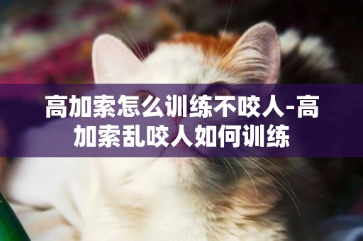 高加索怎么訓練不咬人-高加索亂咬人如何訓練