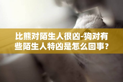 比熊對陌生人很兇-狗對有些陌生人特兇是怎么回事？