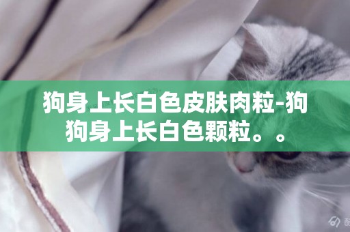 狗身上長白色皮膚肉粒-狗狗身上長白色顆粒。。