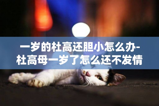 一歲的杜高還膽小怎么辦-杜高母一歲了怎么還不發情？