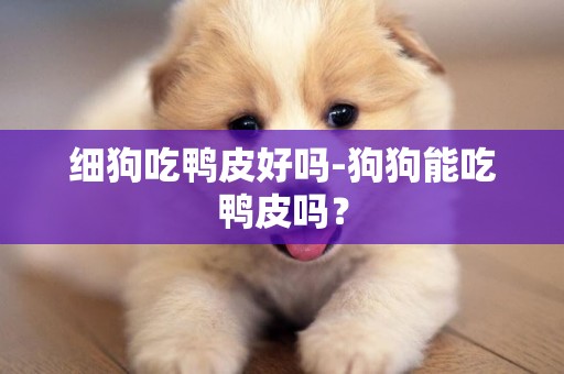 細狗吃鴨皮好嗎-狗狗能吃鴨皮嗎？