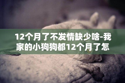 12個月了不發情缺少啥-我家的小狗狗都12個月了怎么還沒發情