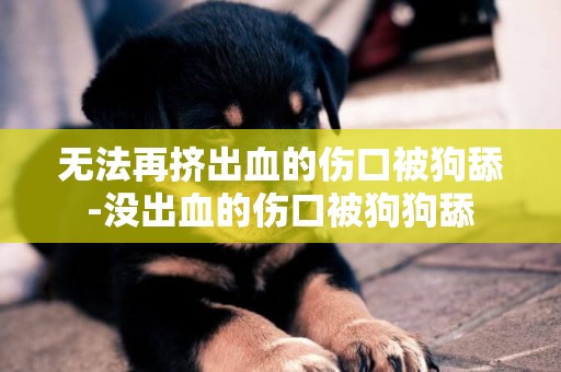 無法再擠出血的傷口被狗舔-沒出血的傷口被狗狗舔