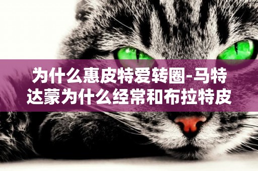 為什么惠皮特愛轉圈-馬特達蒙為什么經常和布拉特皮特一起演電影。
