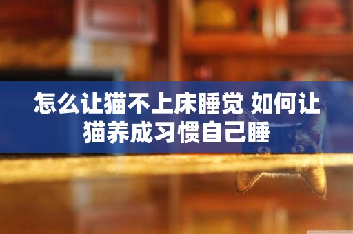怎么讓貓不上床睡覺 如何讓貓養成習慣自己睡