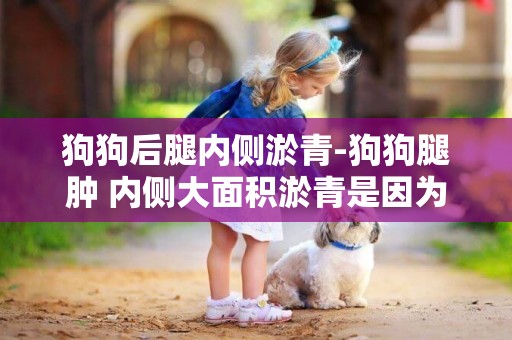 狗狗后腿內側淤青-狗狗腿腫 內側大面積淤青是因為什么