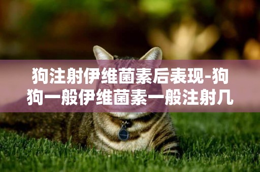 狗注射伊維菌素后表現-狗狗一般伊維菌素一般注射幾次 ？