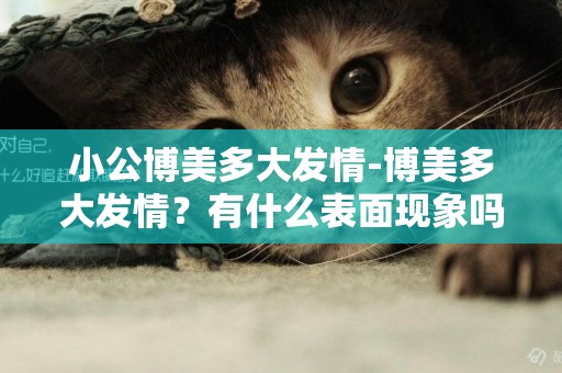 小公博美多大發情-博美多大發情？有什么表面現象嗎？