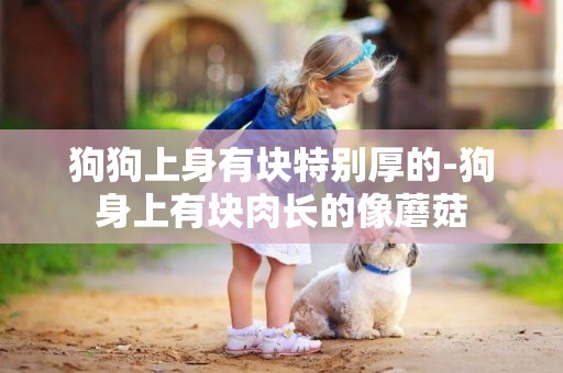 狗狗上身有塊特別厚的-狗身上有塊肉長的像蘑菇